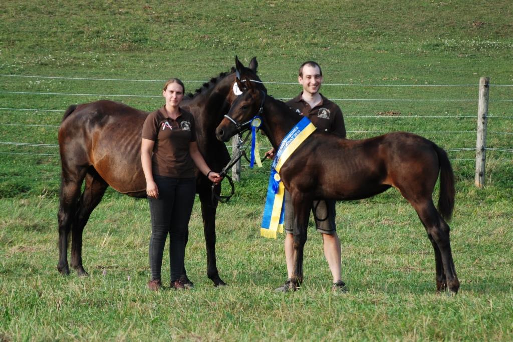 Landeschampionesse Moarhof's Cosma (Vitalis x Acasino)